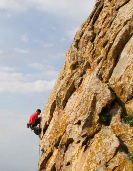 img 2865 1 1 1 e1759241340159