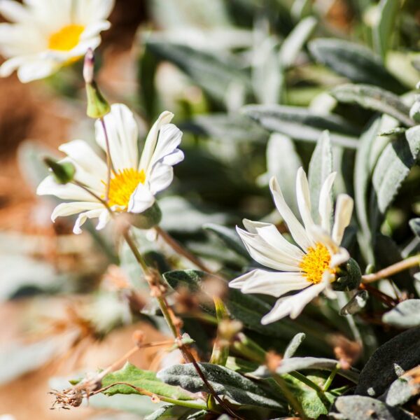 img 5762 ys 1440px q85