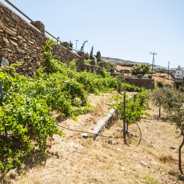 img 5839 crop ys 1440px q85