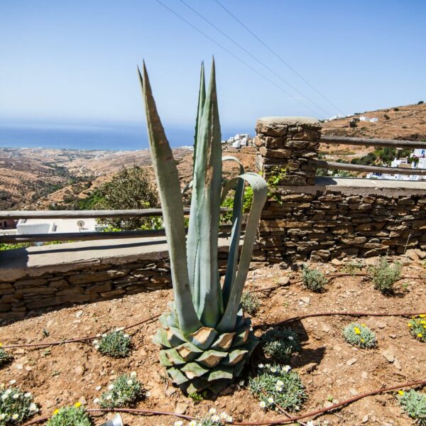 img 5849 ys 1440px q85