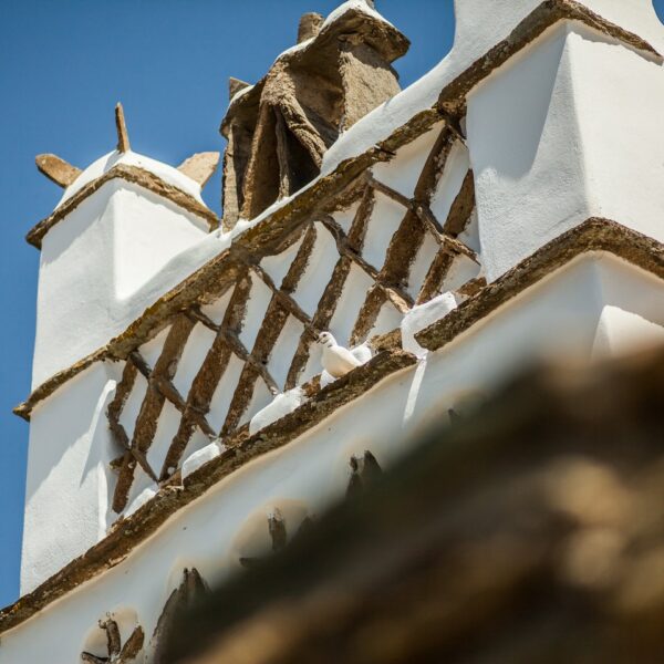 img 5966 1440px q85 0