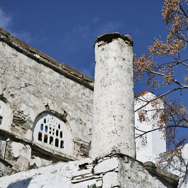 mouseia 2 1440px q85