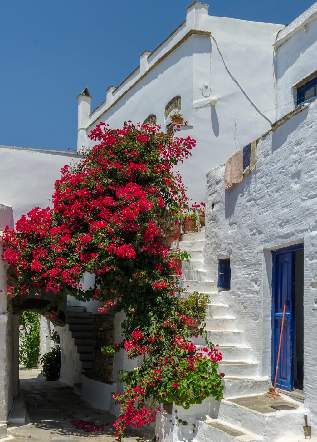 triantaros 1017x1536 1 e1764165594668